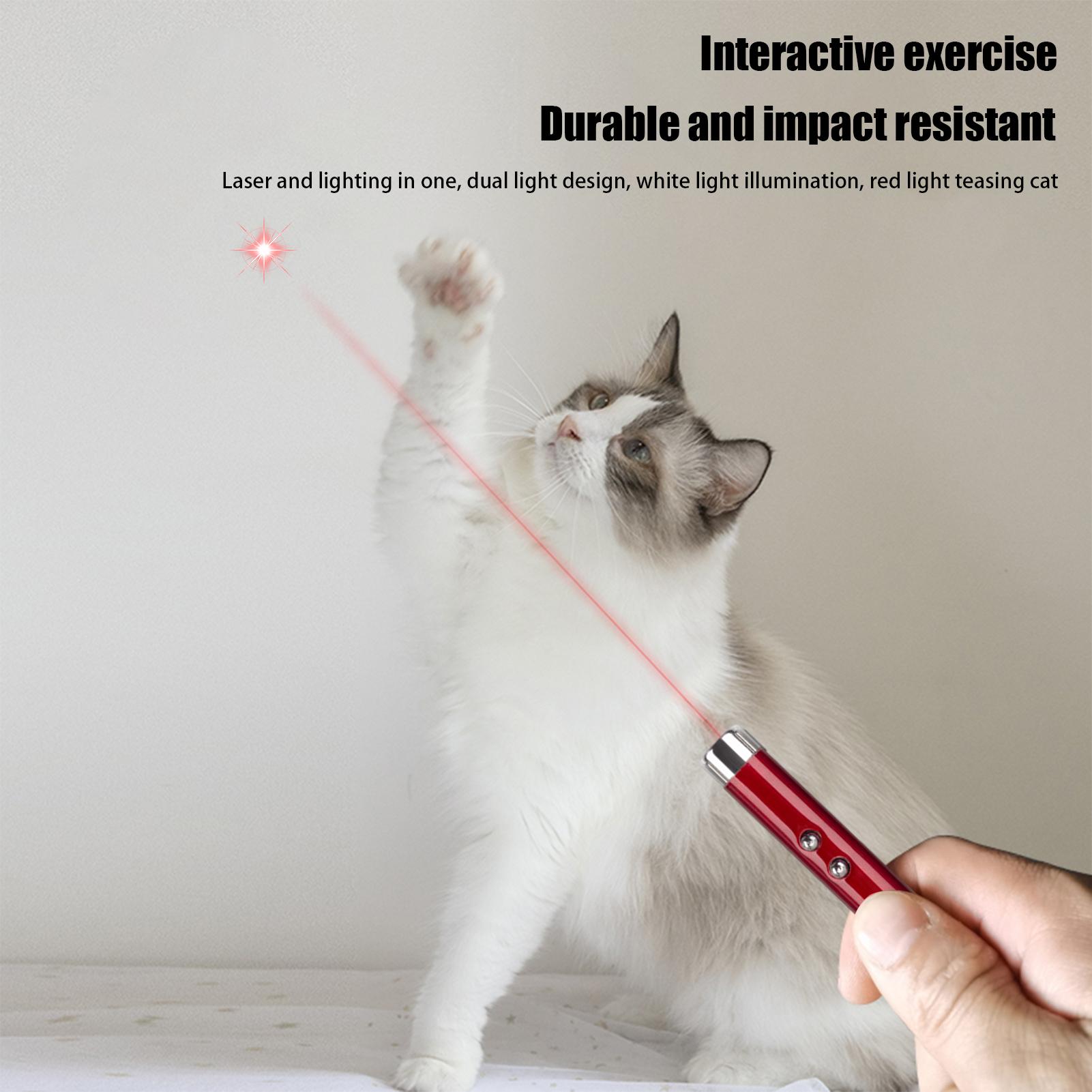 Jouets pour chats de chasse, b - Trail Camera Infrared avis et prix