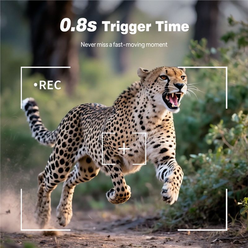 Caméra de chasse en extérieur, - Trail Camera Infrared avis et prix