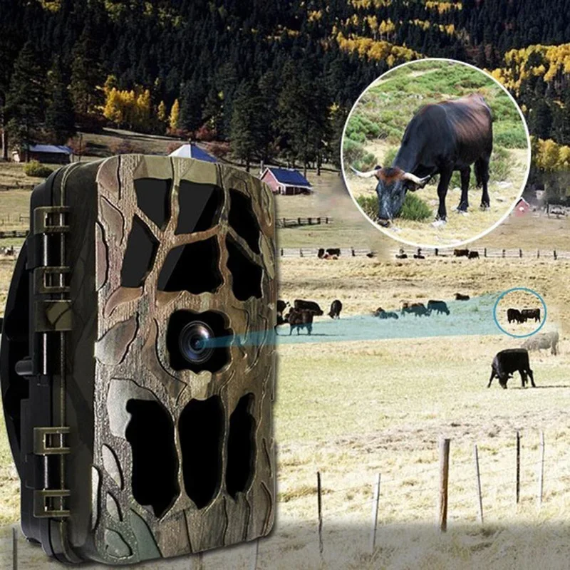 H982 IP66 étanche 4K extérieur - Trail Camera Infrared avis et prix